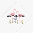 animalverse.in 